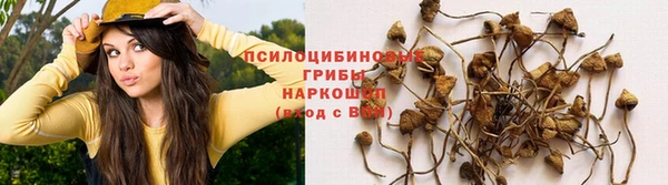 прущая мука Вяземский