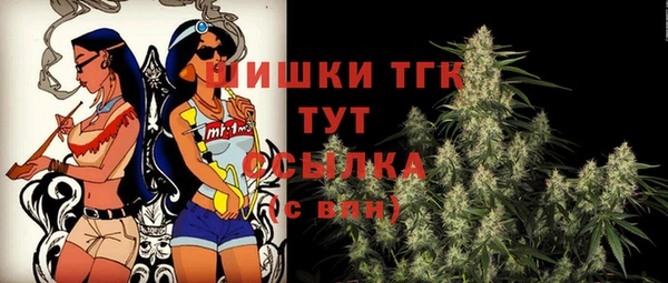 индика Вязники