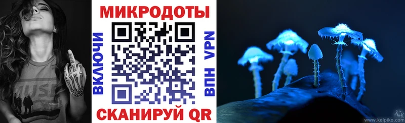 Галлюциногенные грибы GOLDEN TEACHER  сайты даркнета формула  Ардон  где продают  